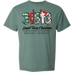 31513 - Baxley Small Town Christmas