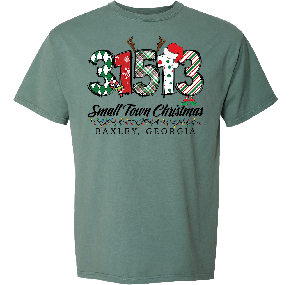 31513 - Baxley Small Town Christmas