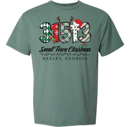 31513 - Baxley Small Town Christmas