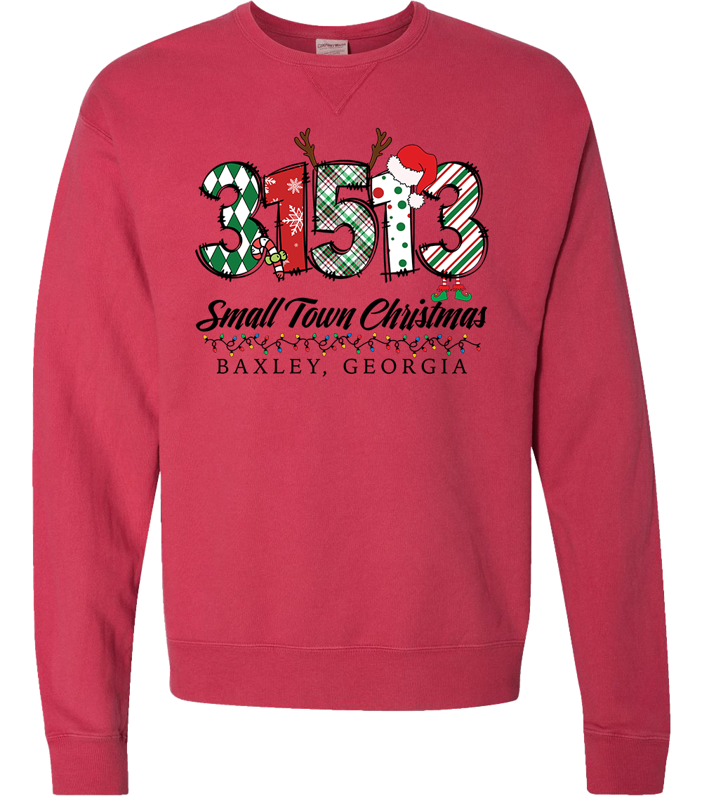 31513 - Baxley Small Town Christmas