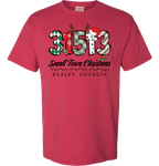 31513 - Baxley Small Town Christmas