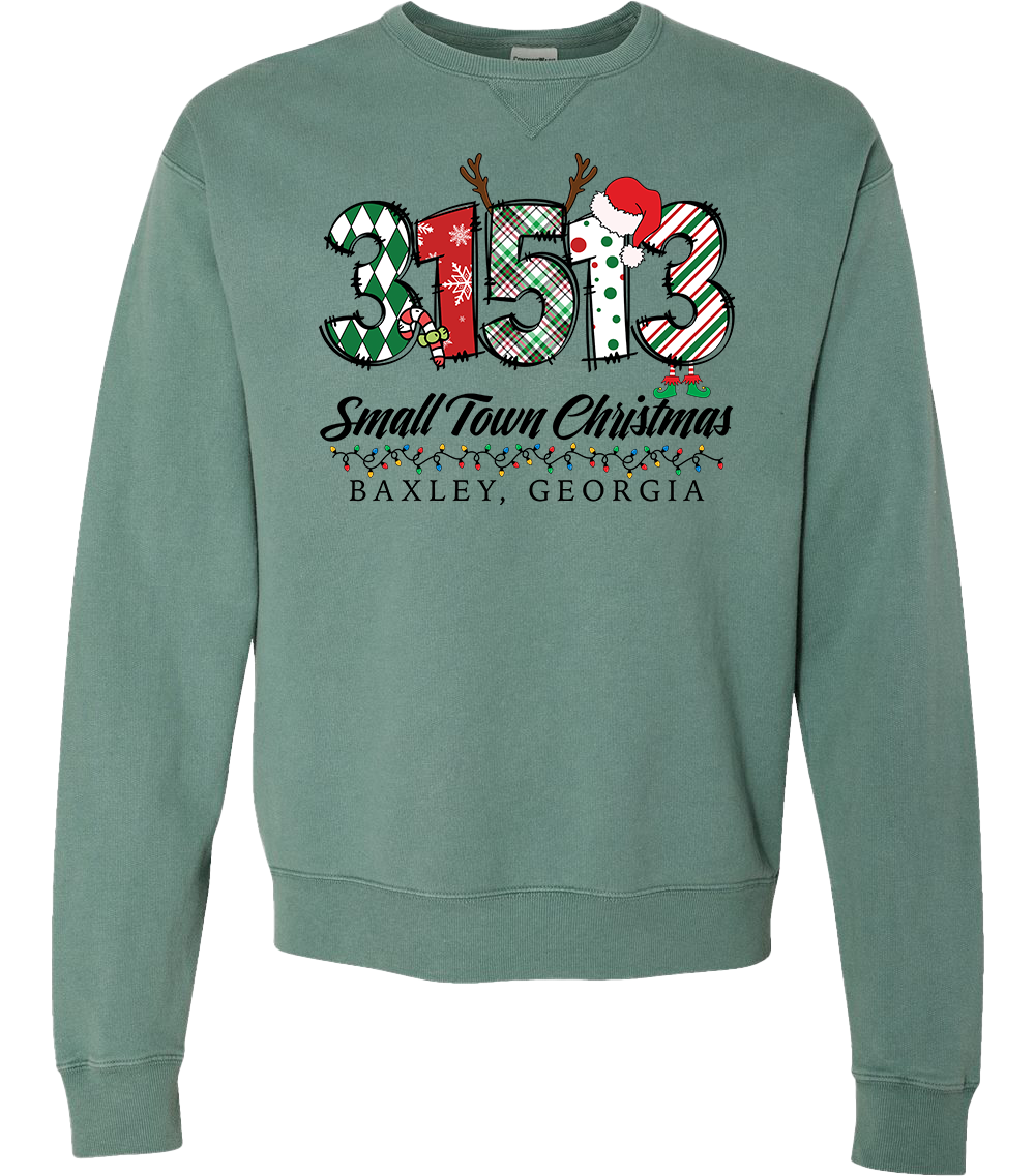 31513 - Baxley Small Town Christmas