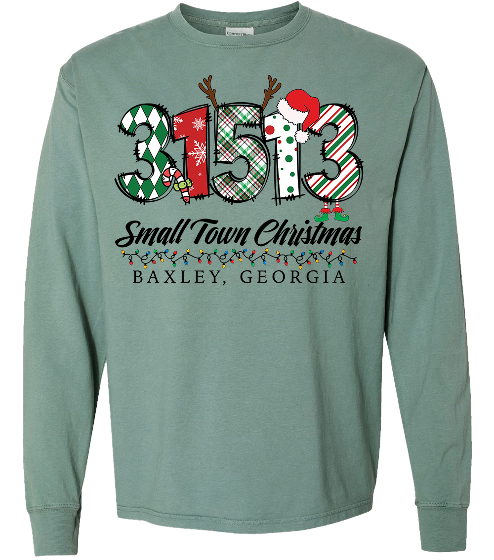 31513 - Baxley Small Town Christmas