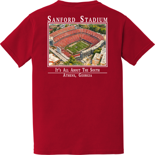 IT'S ALL ABOUT THE SOUTH - Bulldog tee