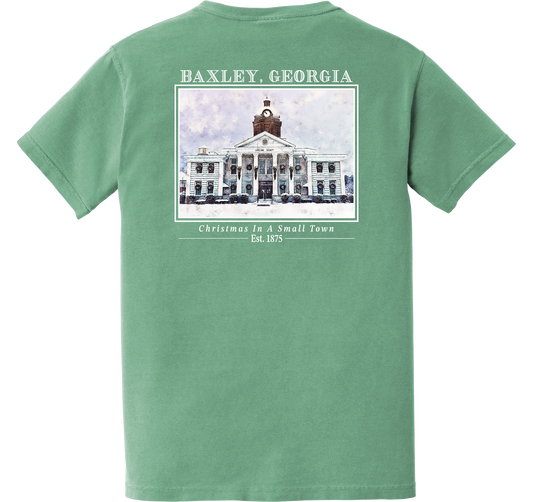 Appling County Courthouse Christmas