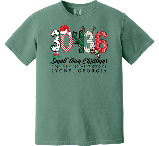 30436 - Lyons, Ga Small Town Christmas