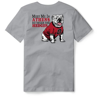 Meet Me Between the Hedges
